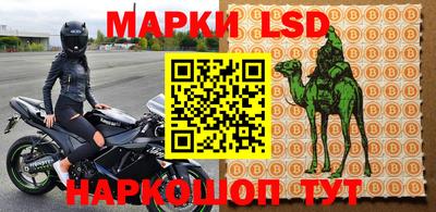 стафф Дмитров