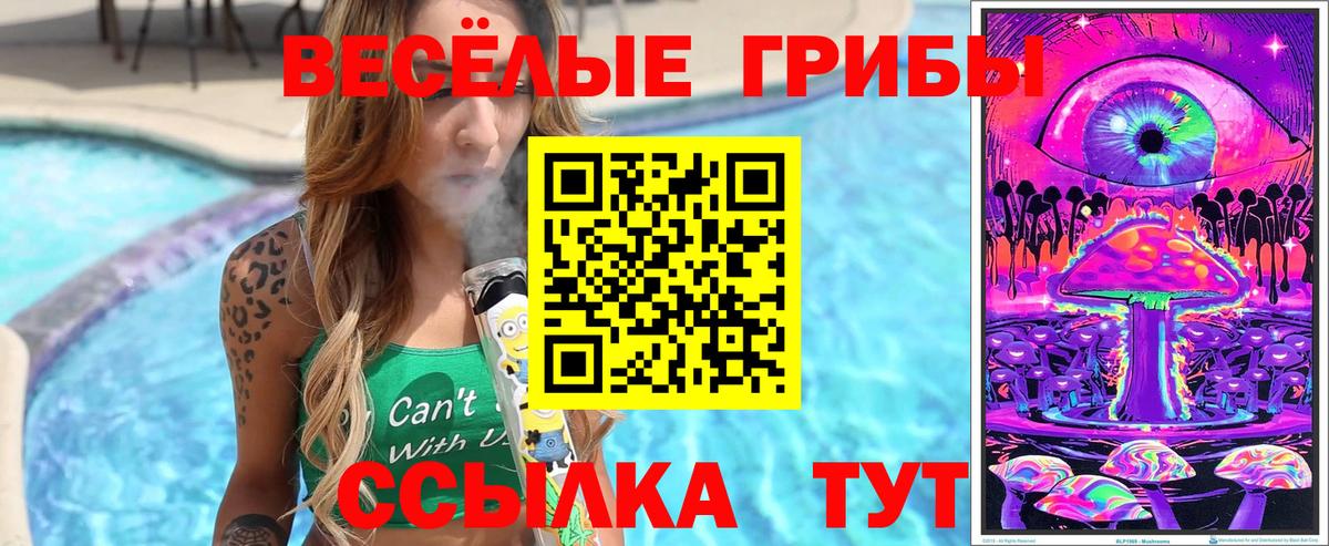 Архангельск  Псилоцибиновые грибы мухоморы  Вход с VPN  Псилоцибиновые грибы Psilocybine cubensis 